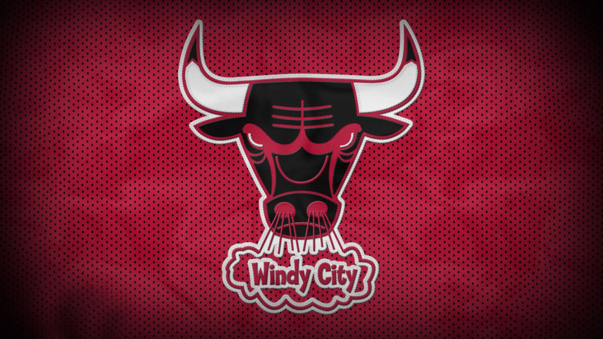 塞内加尔马术协会与国际马术联合会合作，举办国际马术交流活动，促进技术交流。